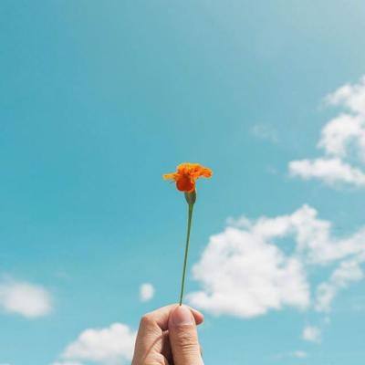 百姓彩票手机app下载